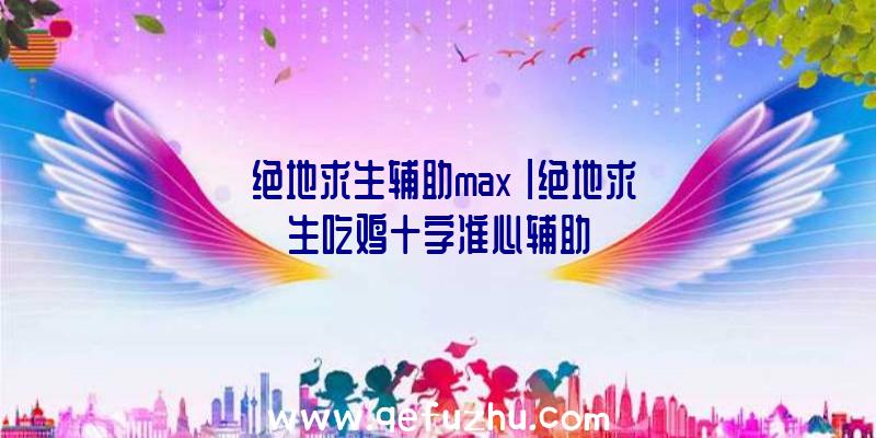 「绝地求生辅助max」|绝地求生吃鸡十字准心辅助